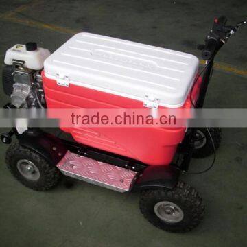 4 Wheels Cooler Scooter Sx-g110 photo-3