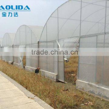 Cheap Easy Multi-span Greenhouse pe Film Green House photo-3