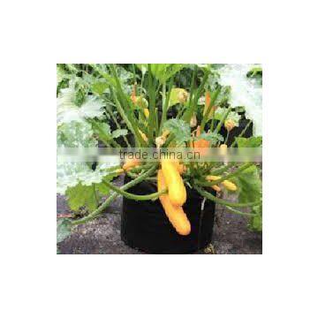 fruit tree nursery nonwoven felt smart pots gardening bags (1 gal to 1200 gal)