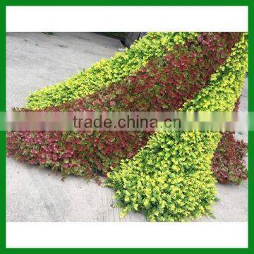 Garden Decoration Artificial Peacock Green Sculpture photo-2