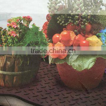 Plastic Shoe Tray/boot Tray photo-4