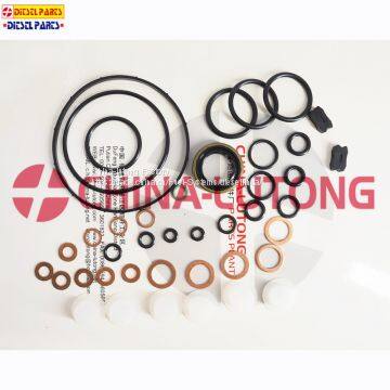 Diesel Fuel Engine Pump Parts Overhaul Kit 800637 For Auto Rebuild Kits/Repair Kit For VE Parts And Injector Pump Parts