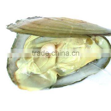 Love Pearl Gift (English and Russian Version) photo-5