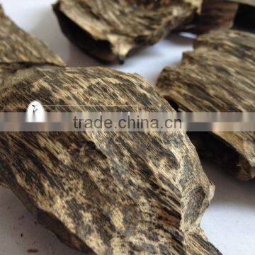 Vietnam High Quality Agarwood Plantation for sale