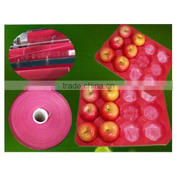 Plastic Colorful Food Tray With SGS Certificate photo-3