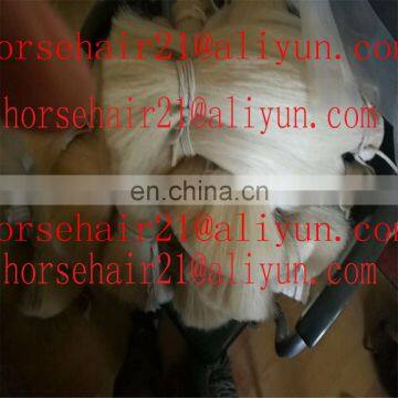 HORSE Tail Hair for Brush photo-2