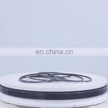 3921919 Oil Piston Ring for Cummins ISL8.9E5 360 ISL9 CM2150 Diesel Engine Spare Parts Manufacture Factory Sale Price in China