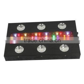 Hot Selling !!!Noah 6 LED Grow Light for Plant With Comprehensive Function photo-3