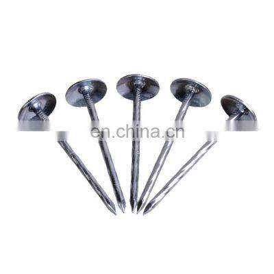 Galvanized Umbrella Head Roofing Nails Caps Roofing Nails 4 Inches