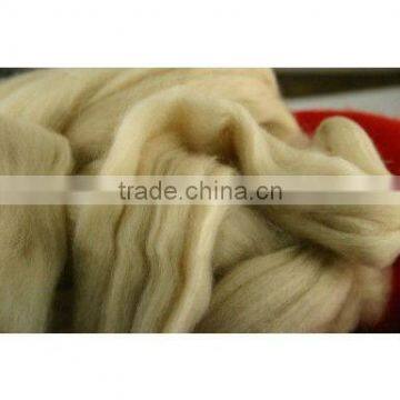 Worsted dehaired camel hair top