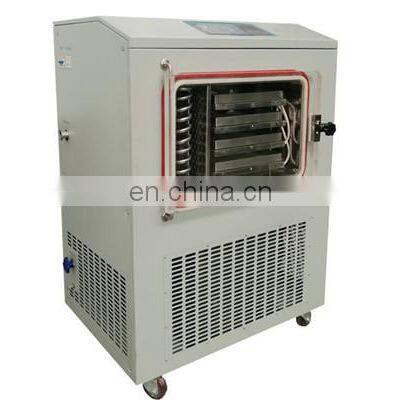 Plant Vacuum Freeze Dryer in the Dried Fruit& Vegetable Processing photo-2
