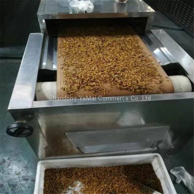 Advanced Continuous Electric Tenebrio Molitor Drying Machine
