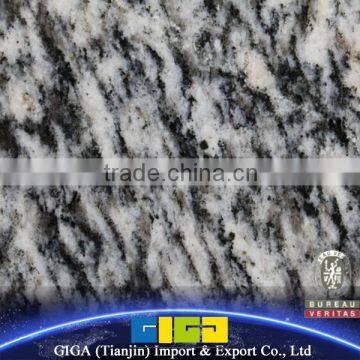 GIGA china factory best quality Cloudy granite