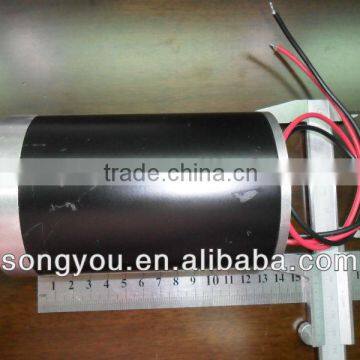 DC Pump Motor