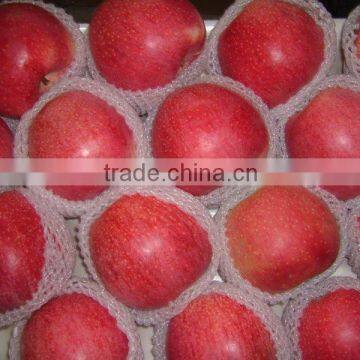 fresh qinguan apple