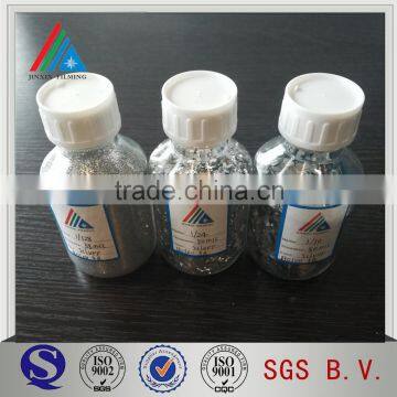 Polyester Glitter Pure Silver Powder