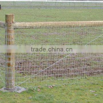 High qulity and non climb rigid stay horse fence