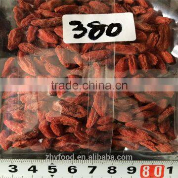 Organic Dried Goji Berry 380grains/50g