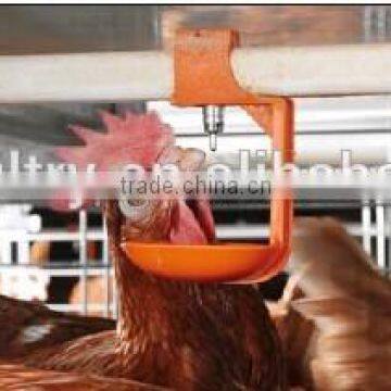 automatic drinker for chickens in poultry farm