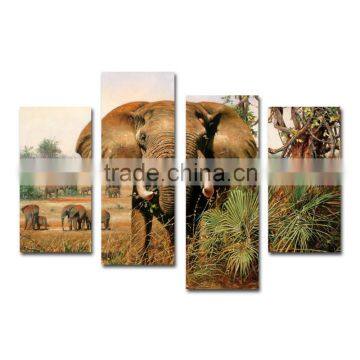 African elephant photo printing on canvas