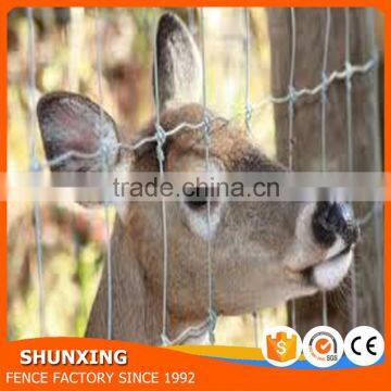 Steel Wire Hot Dipped Galvanizing Type Hinged Joint Cattle Fence photo-3