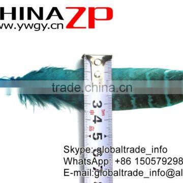 Hotselling CHINAZP Dyed Turquoise Blue Ringneck Wing Quills Feather for Party Decoration photo-5