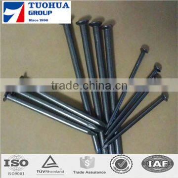 common nails for construction usage iron nails