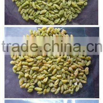 2016 With 5000+pixel Corn Nuts Processing Machine/snack Production Line Sorting Machine photo-4