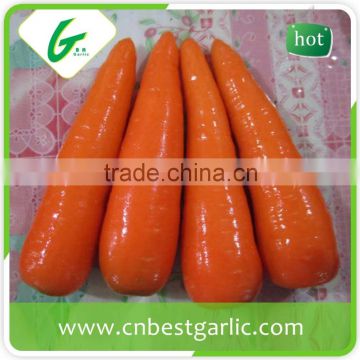 Dried fresh carrot price