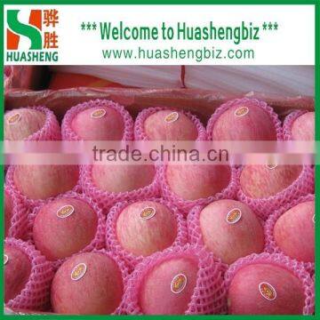 Top Quality Chinese 9kg-20kg Carton Fresh Fuji Apple photo-6