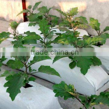 Grow Bags with 100% Coco peat from India