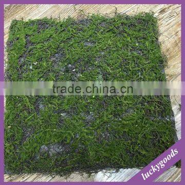 LTX008-LTX012 walll mounted personized artificial moss mat for background decoration