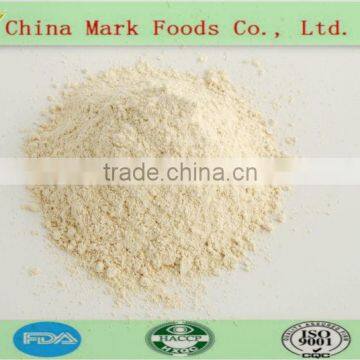 Manufacturers- Dried Garlic Powder