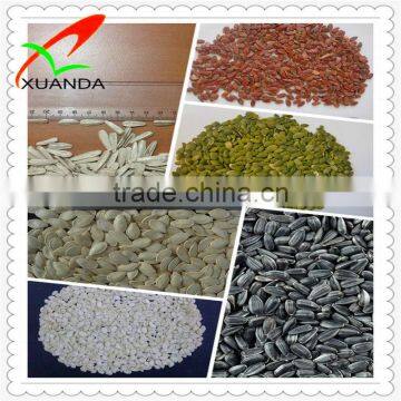 Orgainc Pumpkin Seeds for Roasting photo-5