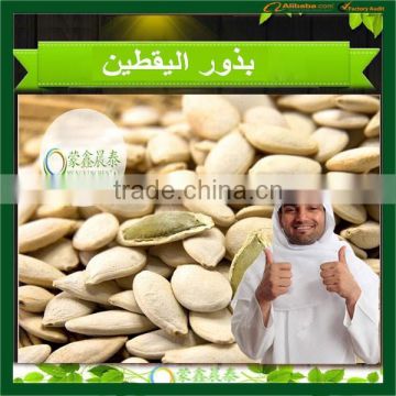 2015 High Quality Pumpkin seeds Inner Mongolia