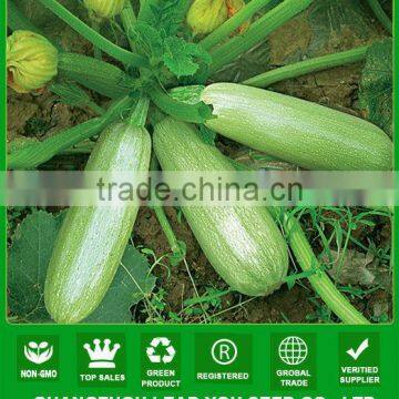 NSQ01 Jieshu High yield squash seeds, gourd seeds,wholesale vegetable seeds