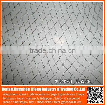 Bird Mist Nets / Plastic hdpe netting fabric , Nylon bird nets For Catching Birds