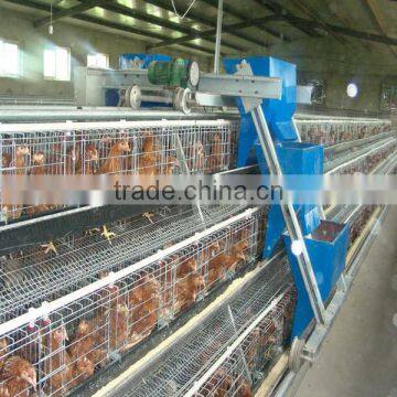 Poultry Chicken Cage