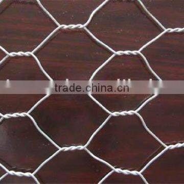 hexagonal iron wire netting