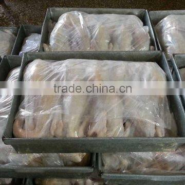 Automatic Poultry Slaughter House 500bph/1000bph/4000bph photo-2