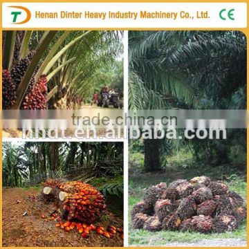 Large and small size cheap cold press palm oil machine