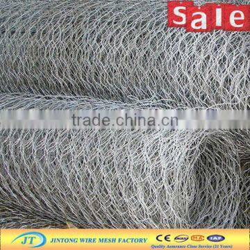 best price hexagonal duck wire mesh for sale