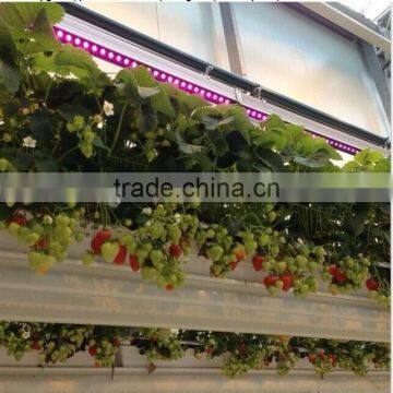 VANQLED LED Plant Grow Rigid Strip Lights With Plug Transformer Driver for Leafy Growth,Red Blue Grow Lamp Light photo-4