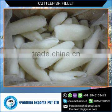 Best Quality Frozen Cuttlefish Rolled Fillet