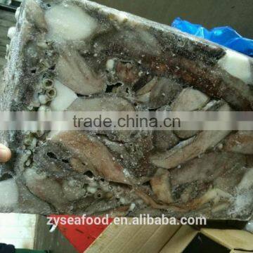 Wholesale Frozen Cheap Giant Squid Tentacles Fish Bait photo-3
