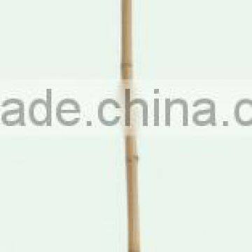 thanksgiving festive grass broom