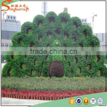 Songtao High Quality Artificial Peacock Artificial Animal Topiary Sculpture for Garden Decoration photo-2
