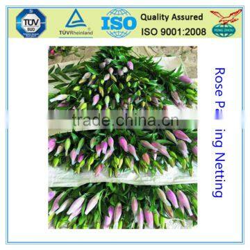 Plastic Netting for Flowers photo-2
