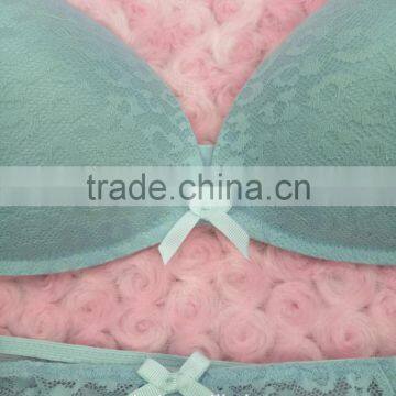 OEM Service Breathable Lace Underwear Woman Bra Panty Set photo-2