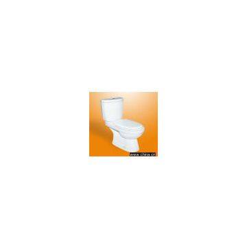 Separated Toilet